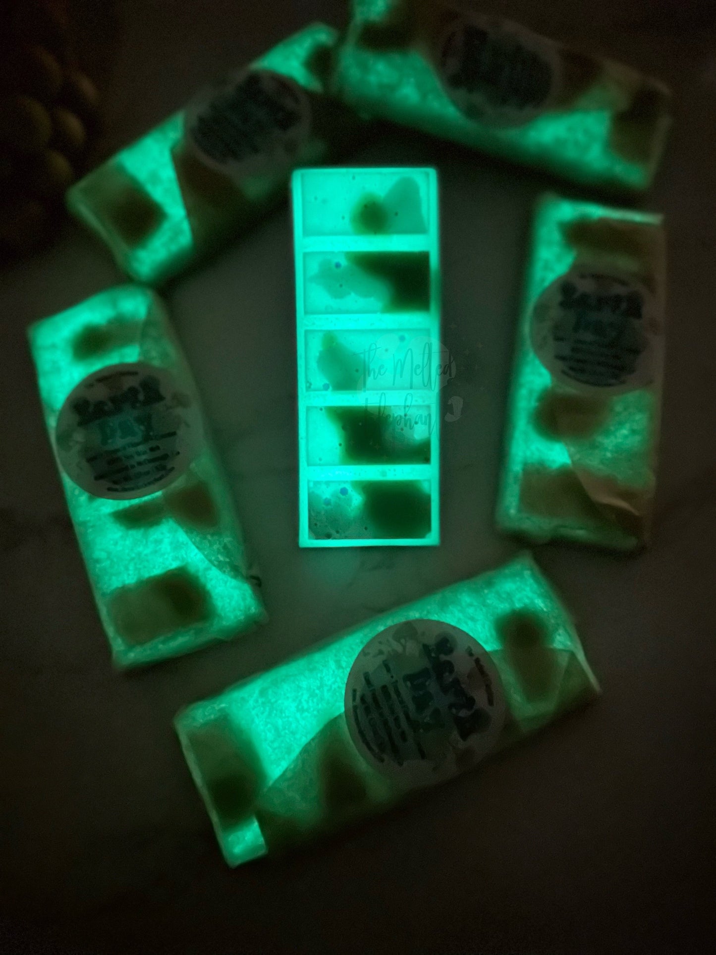 Earth Day Wax Melt Snap Bar
